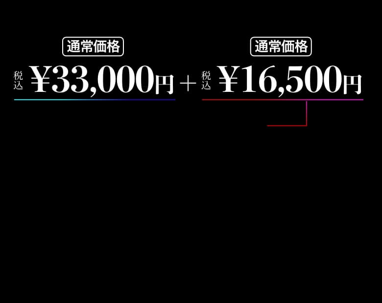 公式サイト》アイスレディ 美顔器 フェイス インベストメント 顔面投資